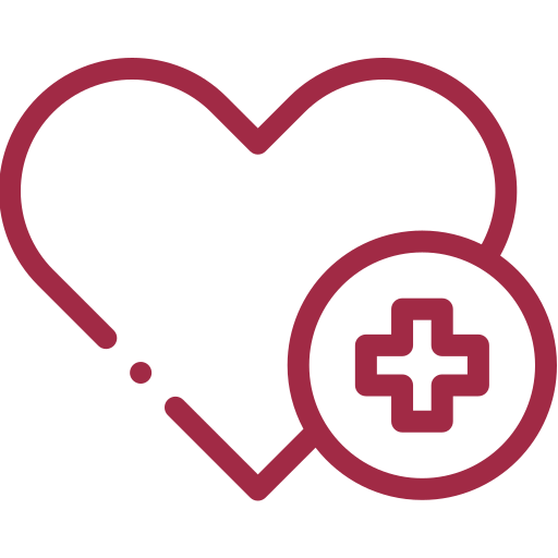 Health Icon